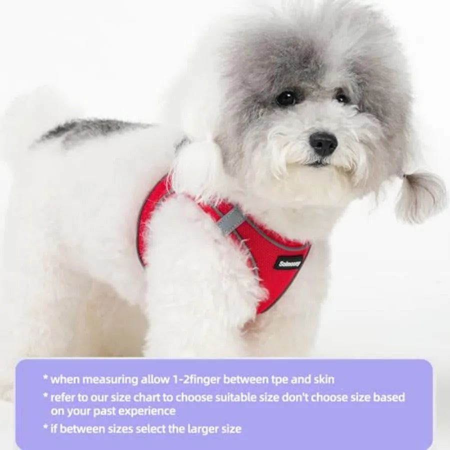 Breathable Reflective Dog Harness And Leash Set For Puppies