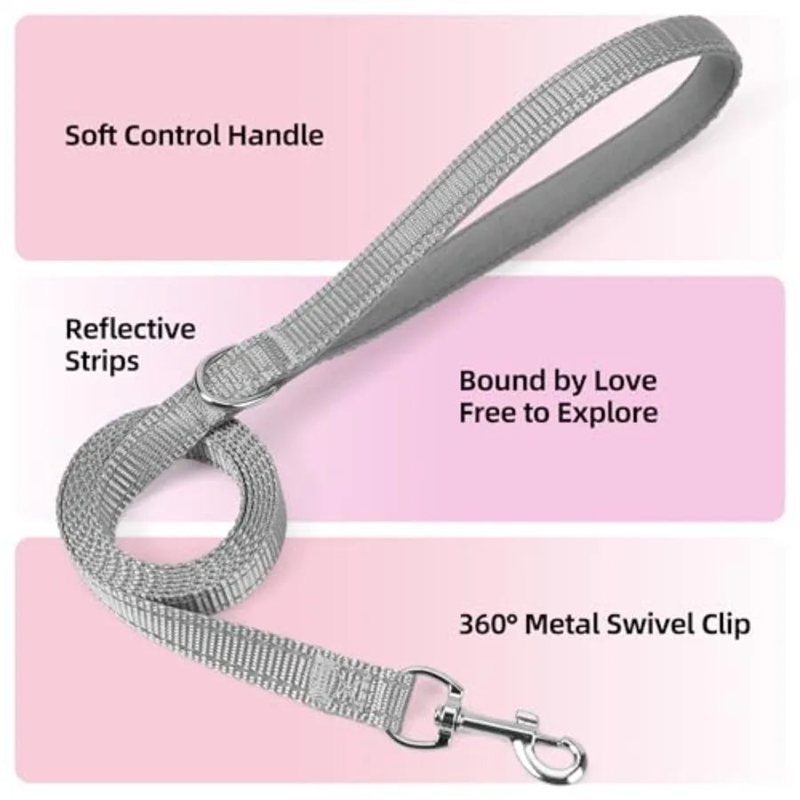 Breathable Reflective Dog Harness And Leash Set For Puppies