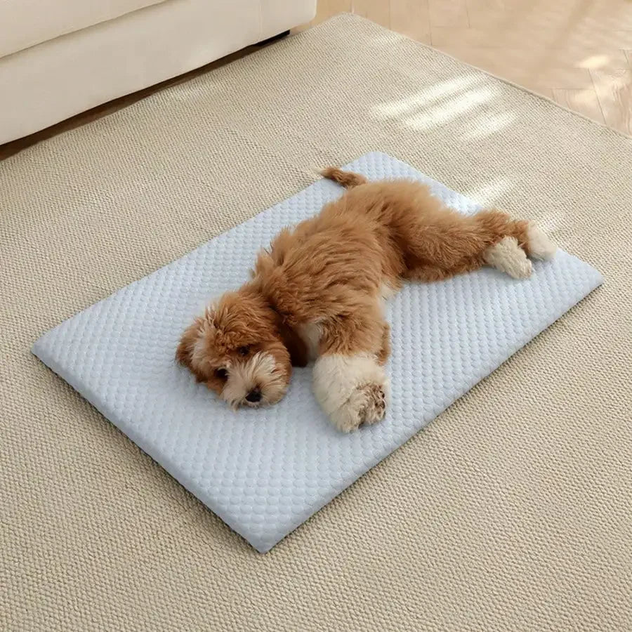 Cooling Cat Bed Featuring Thick Padding And Breathable Cushion