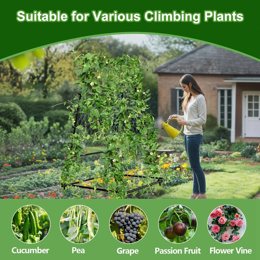 Wisfor Metal Garden Trellis Arch For Climbing Plants With Netting