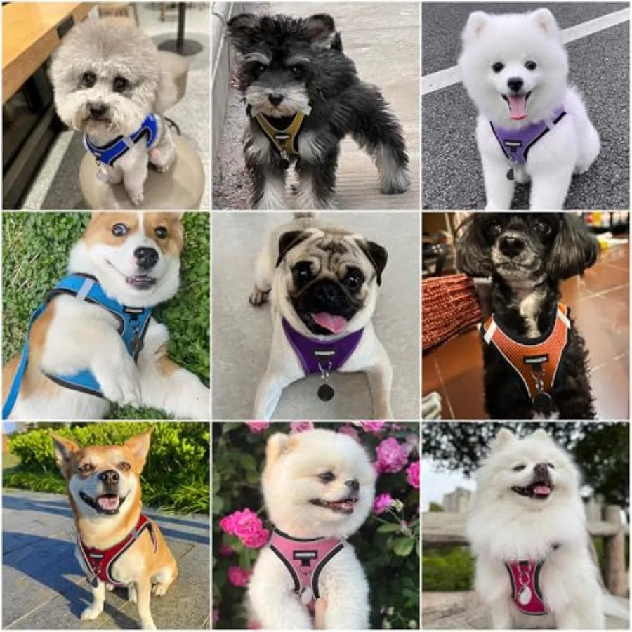 No Pull Reflective Step In Dog Harness And Leash Set