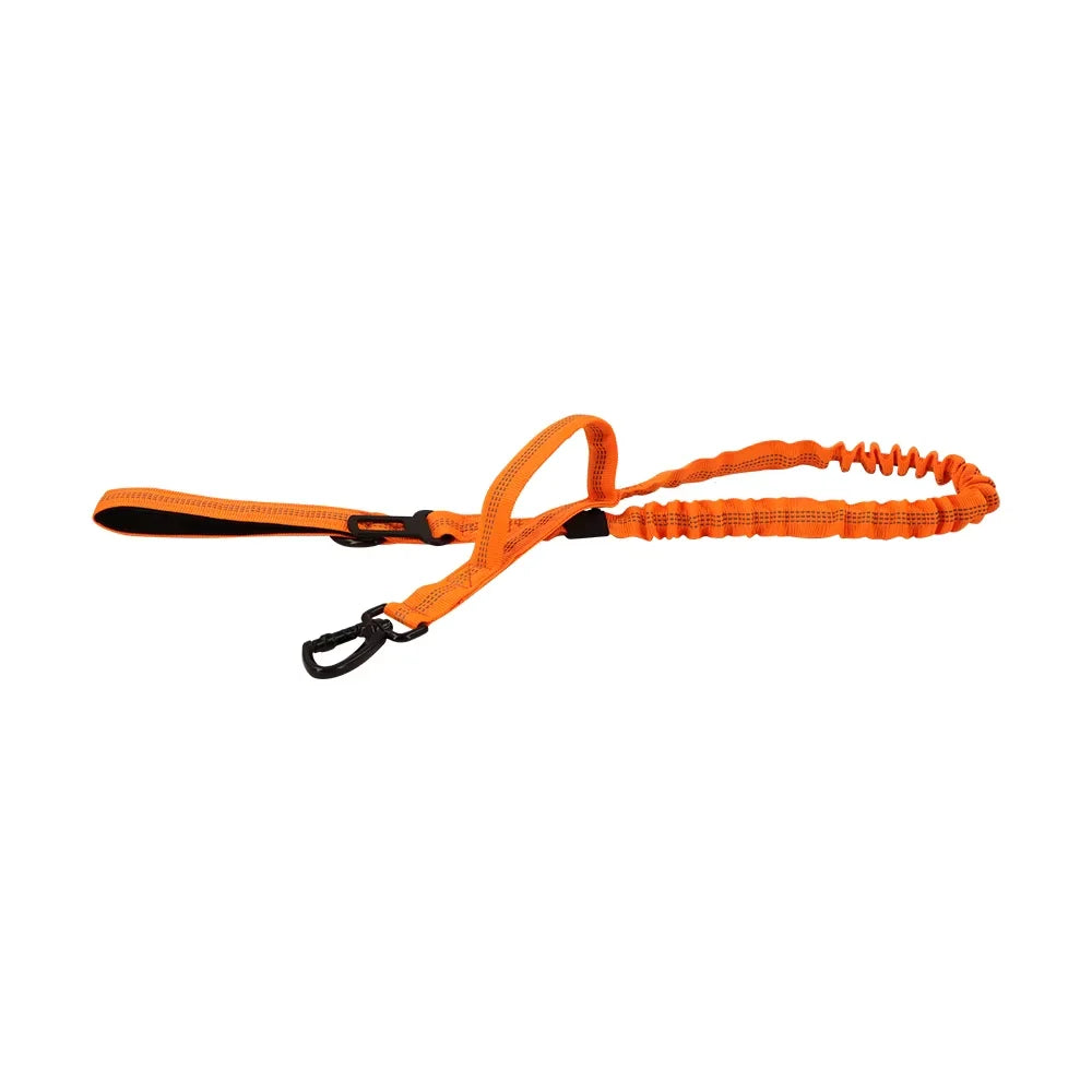 PETRAVEL Adjustable Dog Leash With Quick Release And Dual Handles