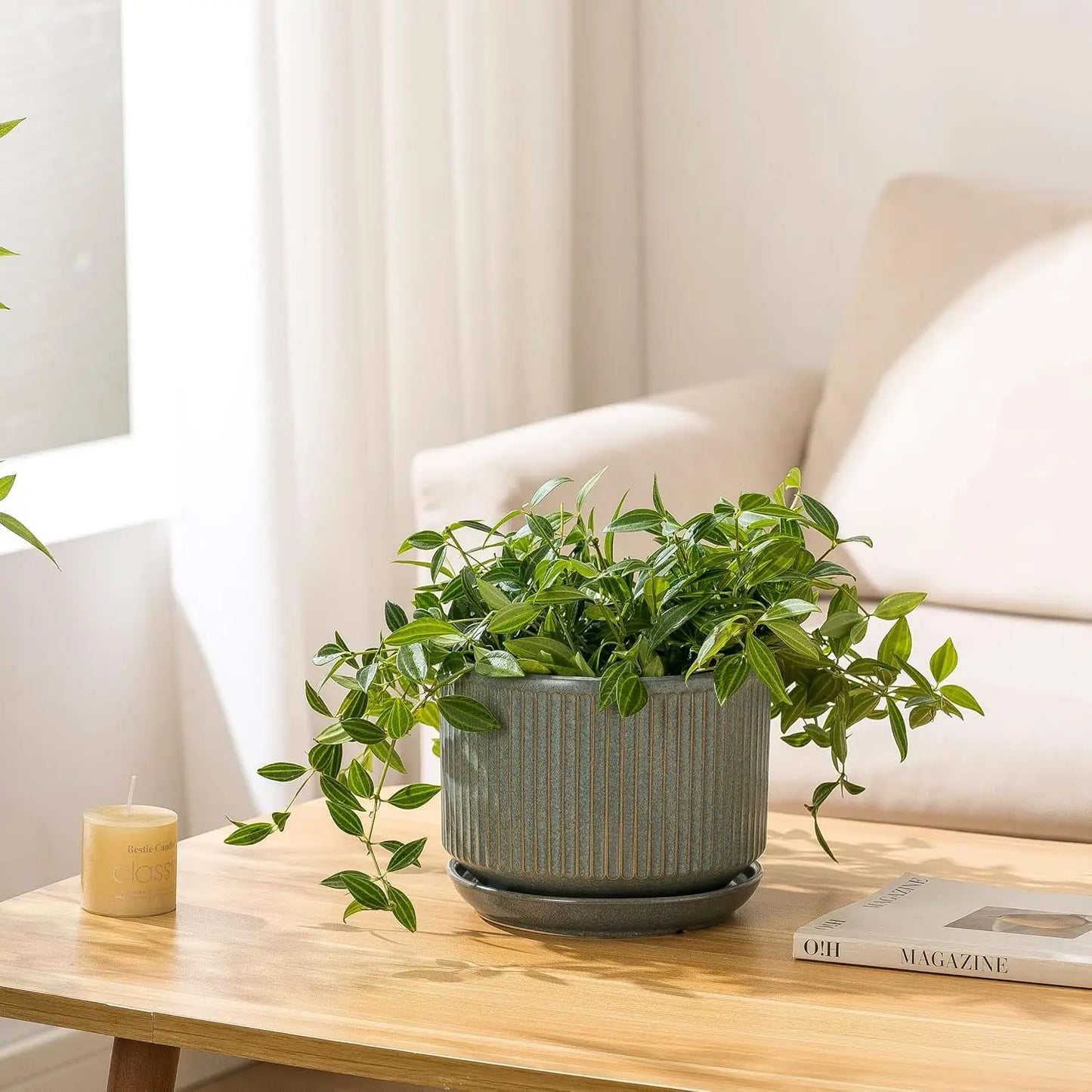 Set Of Three Ceramic Plant Pots With Drainage And Saucer