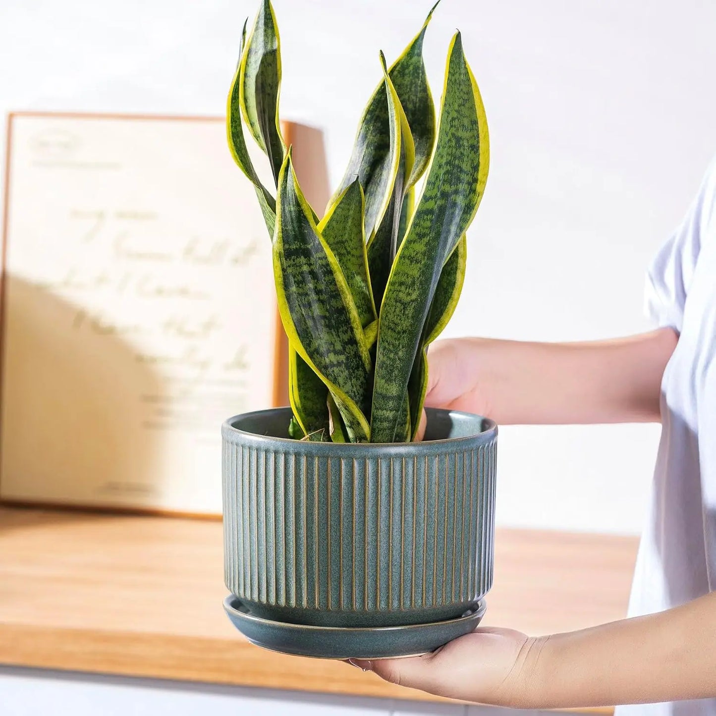 Set Of Three Ceramic Plant Pots With Drainage And Saucer
