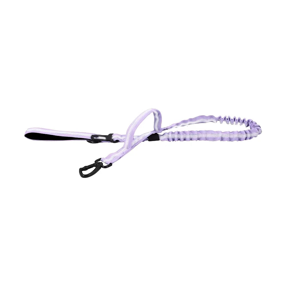 PETRAVEL Adjustable Dog Leash With Quick Release And Dual Handles