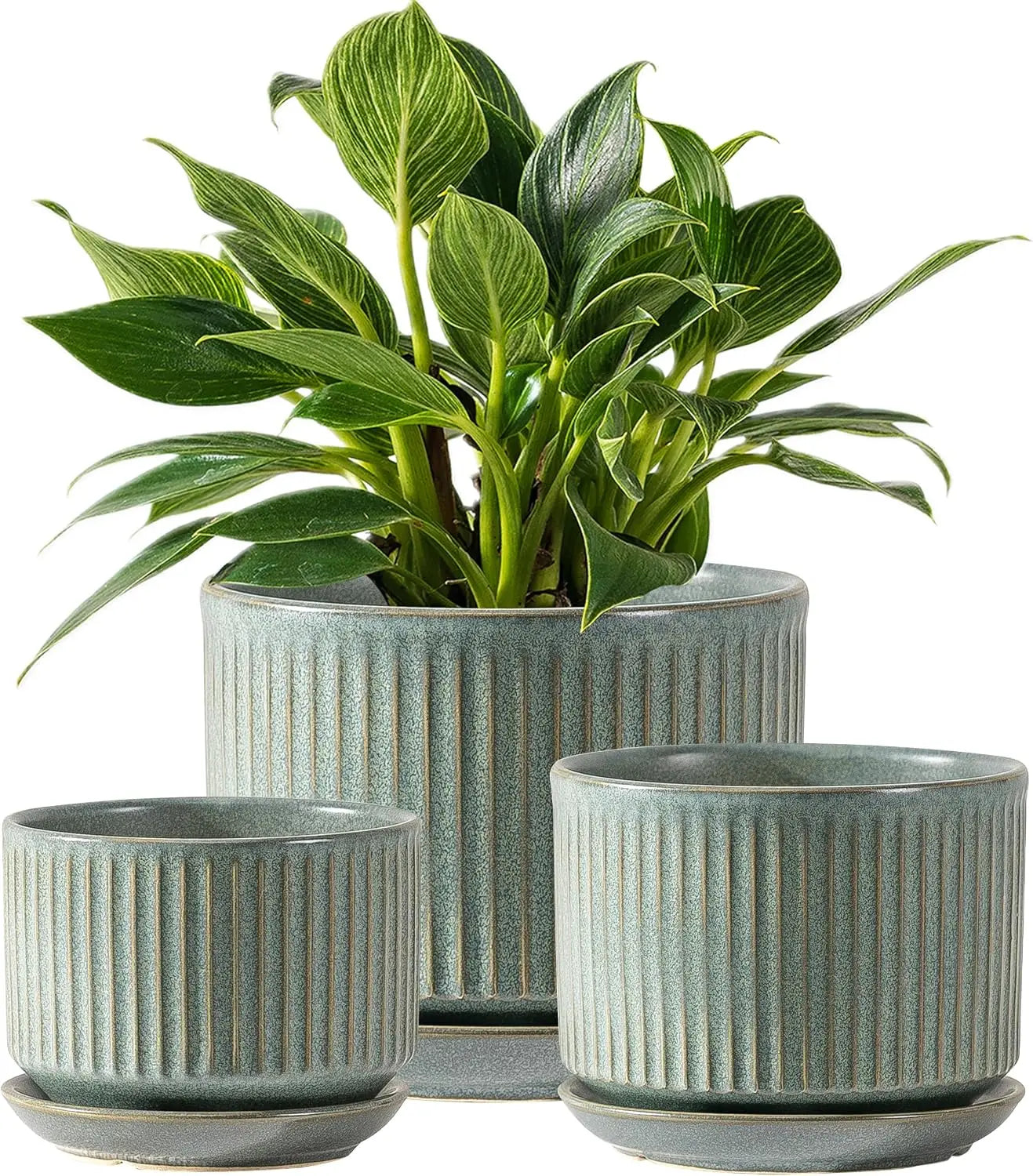 Set Of Three Ceramic Plant Pots With Drainage And Saucer