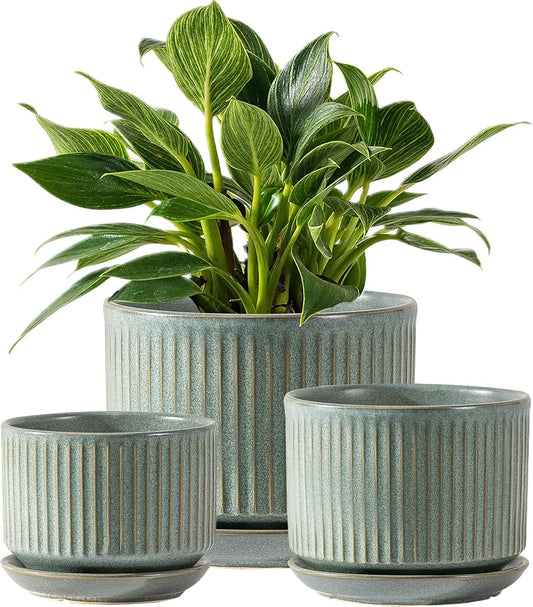 Set Of Three Ceramic Plant Pots With Drainage And Saucer