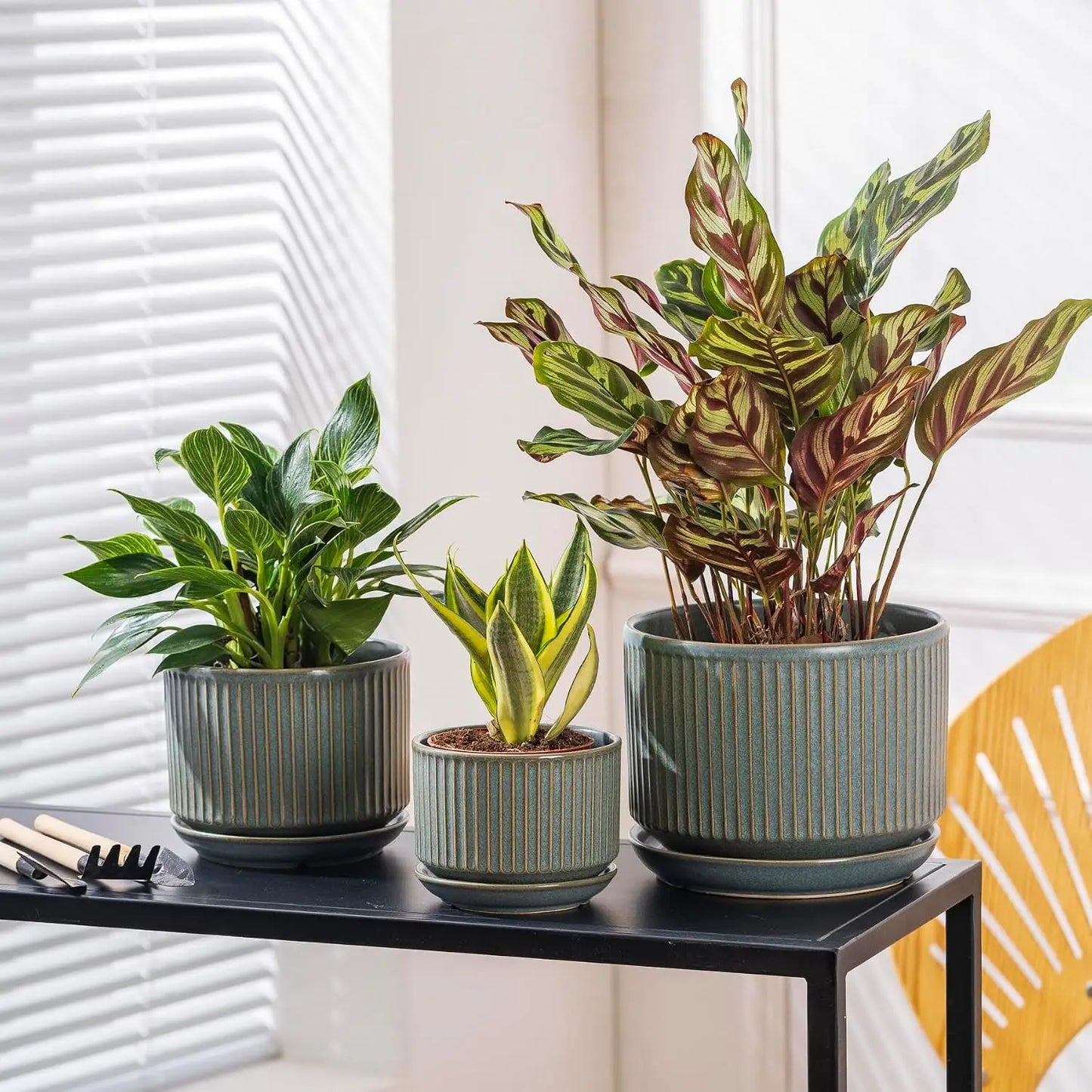Set Of Three Ceramic Plant Pots With Drainage And Saucer