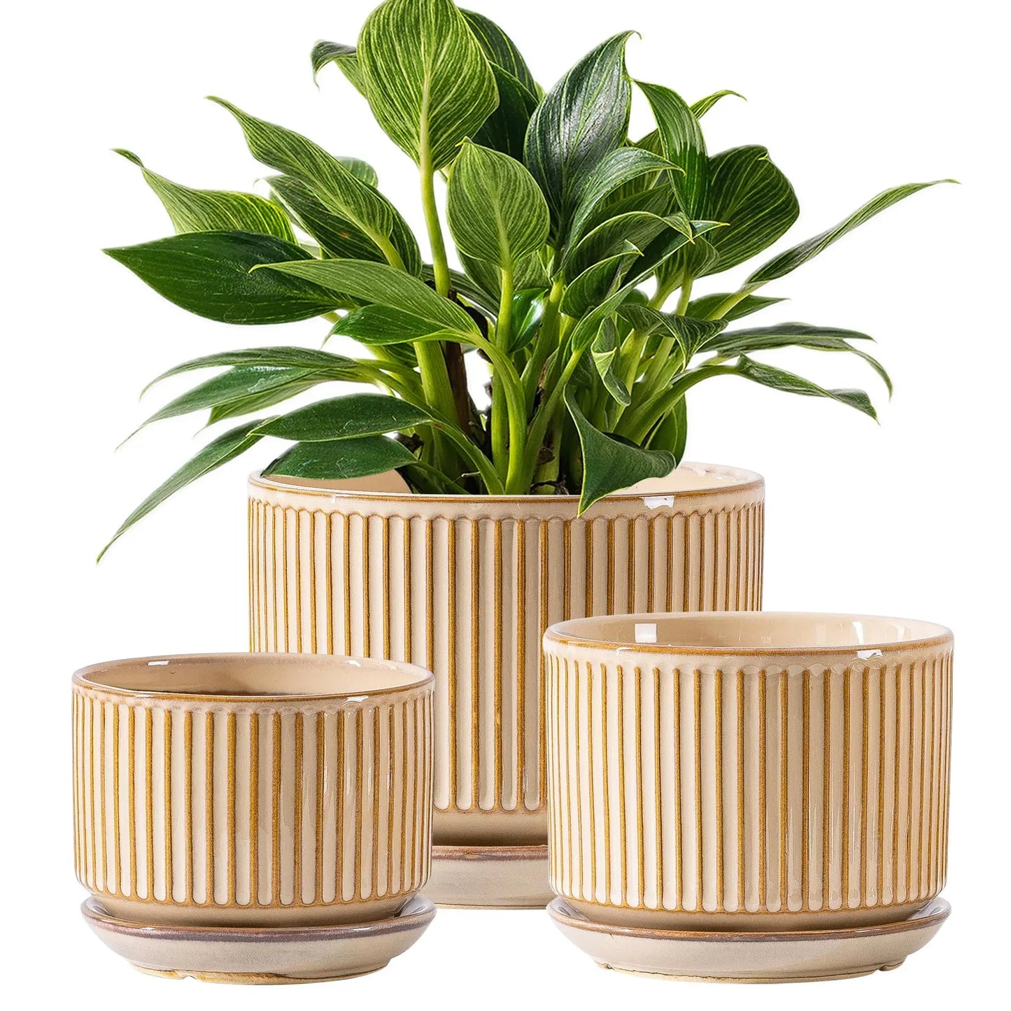 Set Of Three Ceramic Plant Pots With Drainage And Saucer