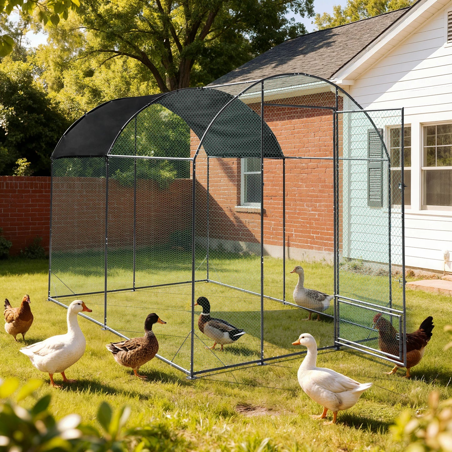 Borwart Outdoor Chicken Coop Cage With Durable Nylon Netting