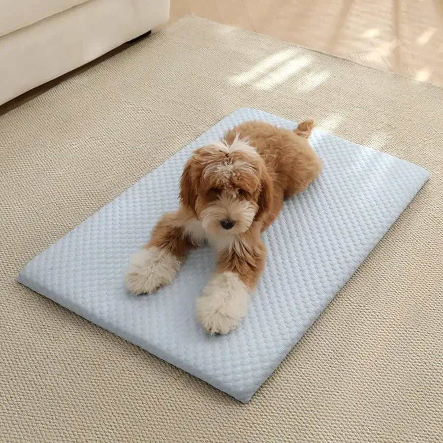 Cooling Cat Bed Featuring Thick Padding And Breathable Cushion