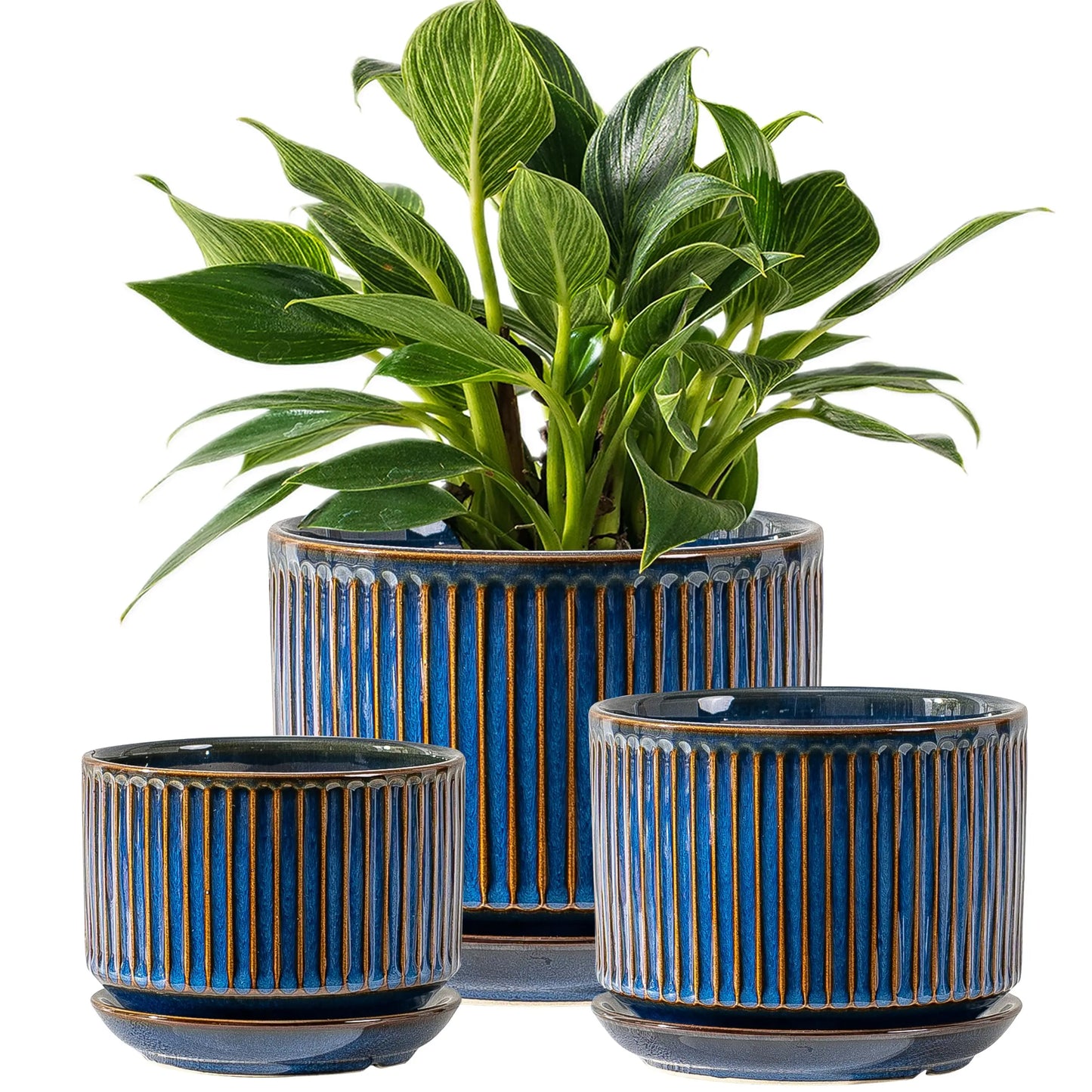 Set Of Three Ceramic Plant Pots With Drainage And Saucer