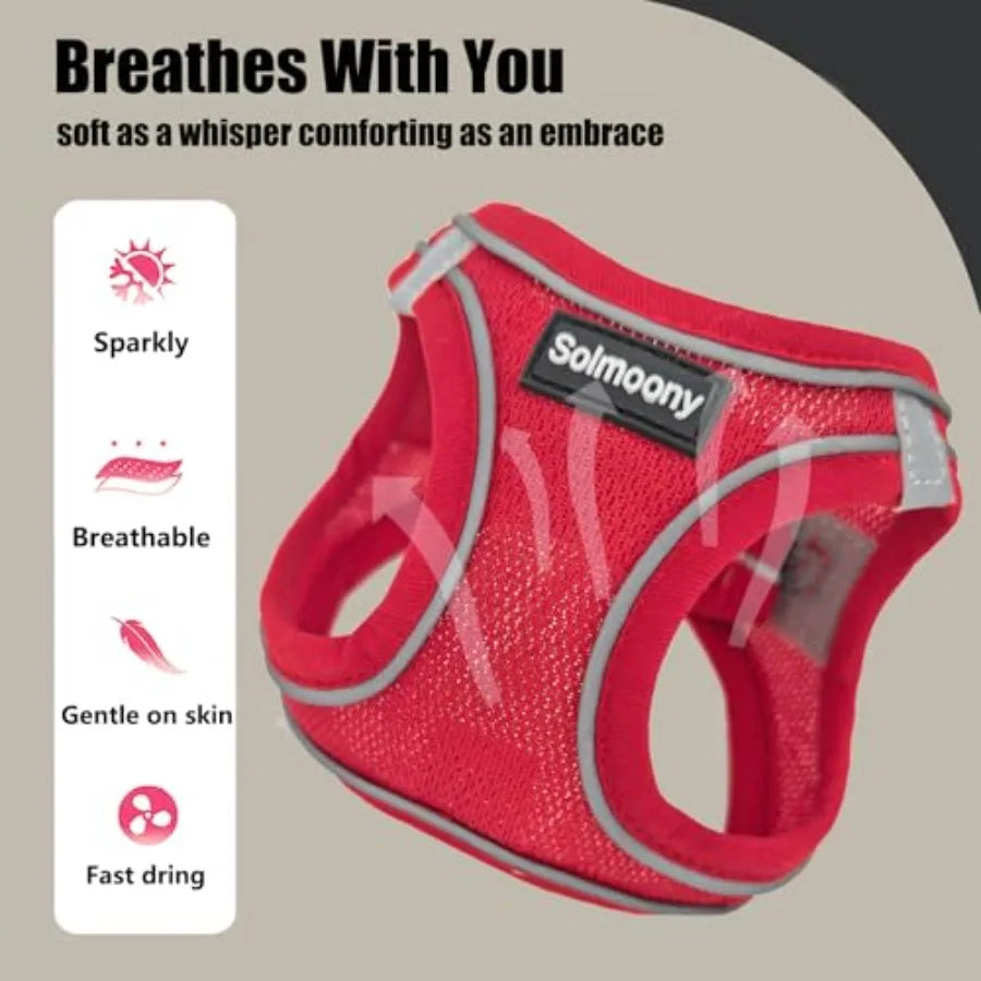 Breathable Reflective Dog Harness And Leash Set For Puppies