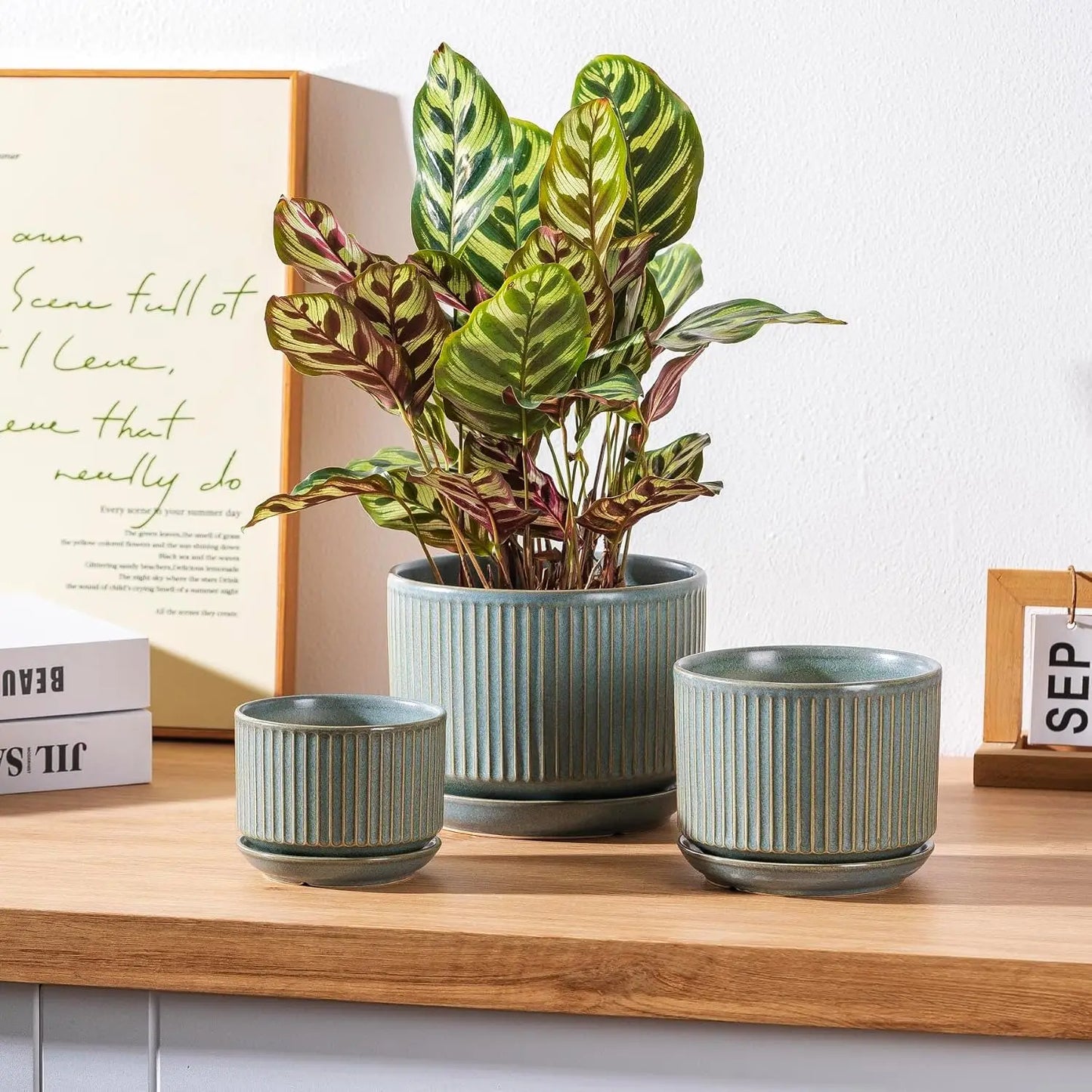 Set Of Three Ceramic Plant Pots With Drainage And Saucer