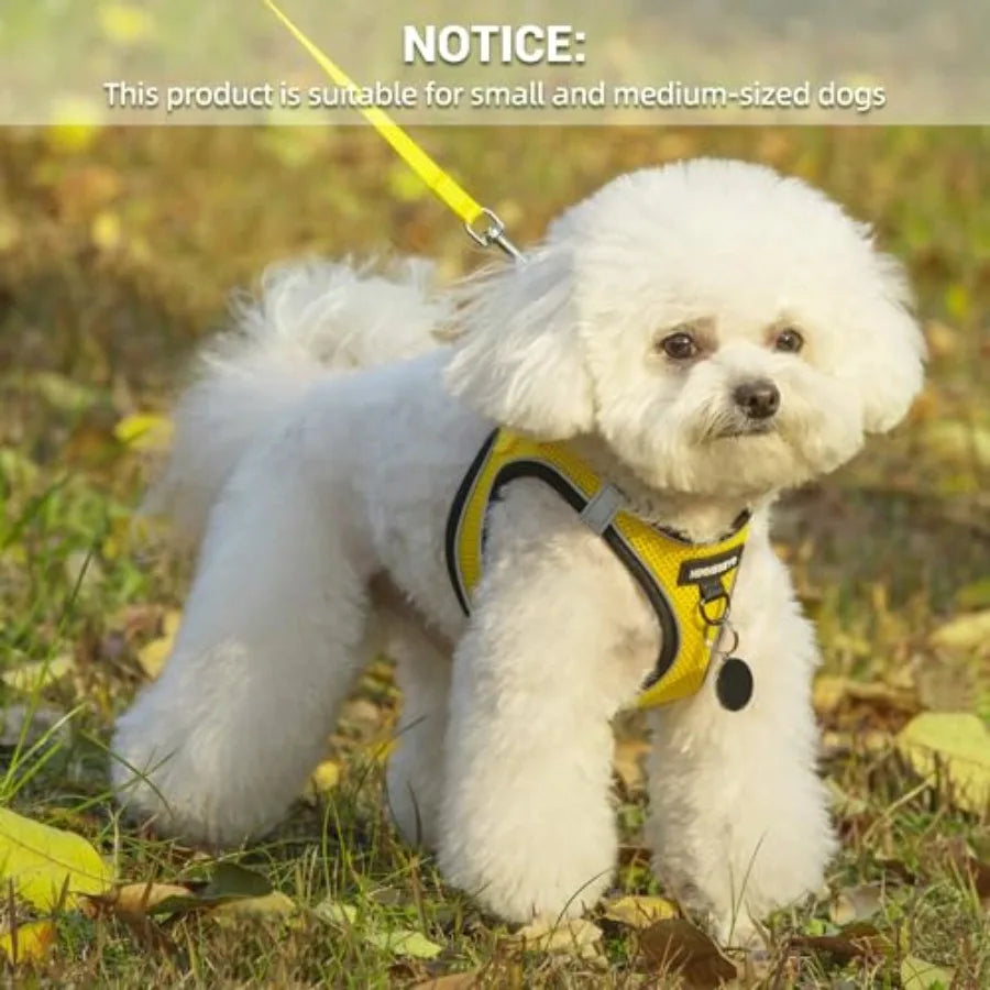 No Pull Reflective Step In Dog Harness And Leash Set