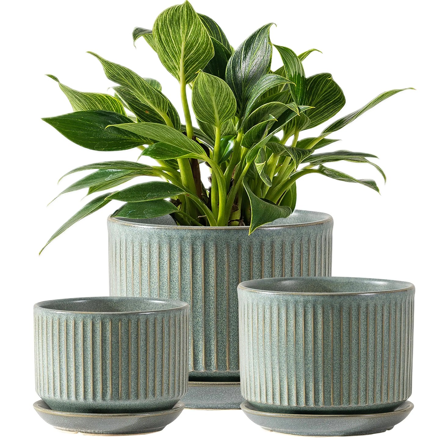 Set Of Three Ceramic Plant Pots With Drainage And Saucer