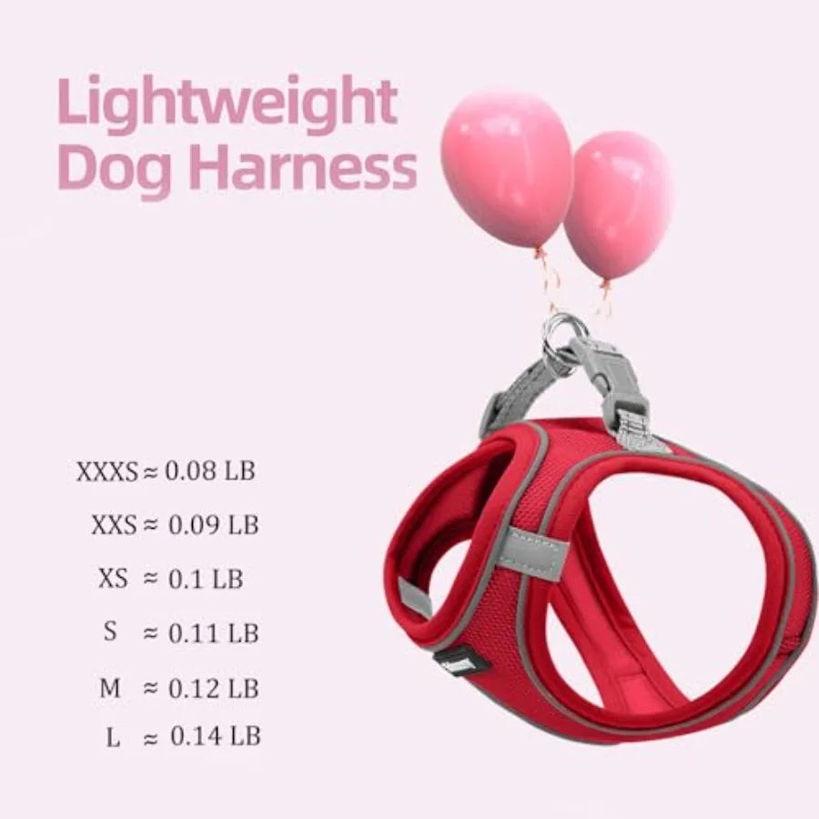 Breathable Reflective Dog Harness And Leash Set For Puppies