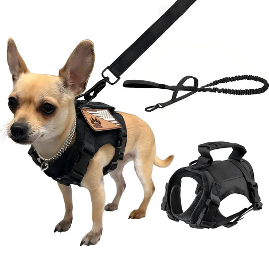 PETRAVEL Tactical Puppy Harness And Leash Set For Training Walks