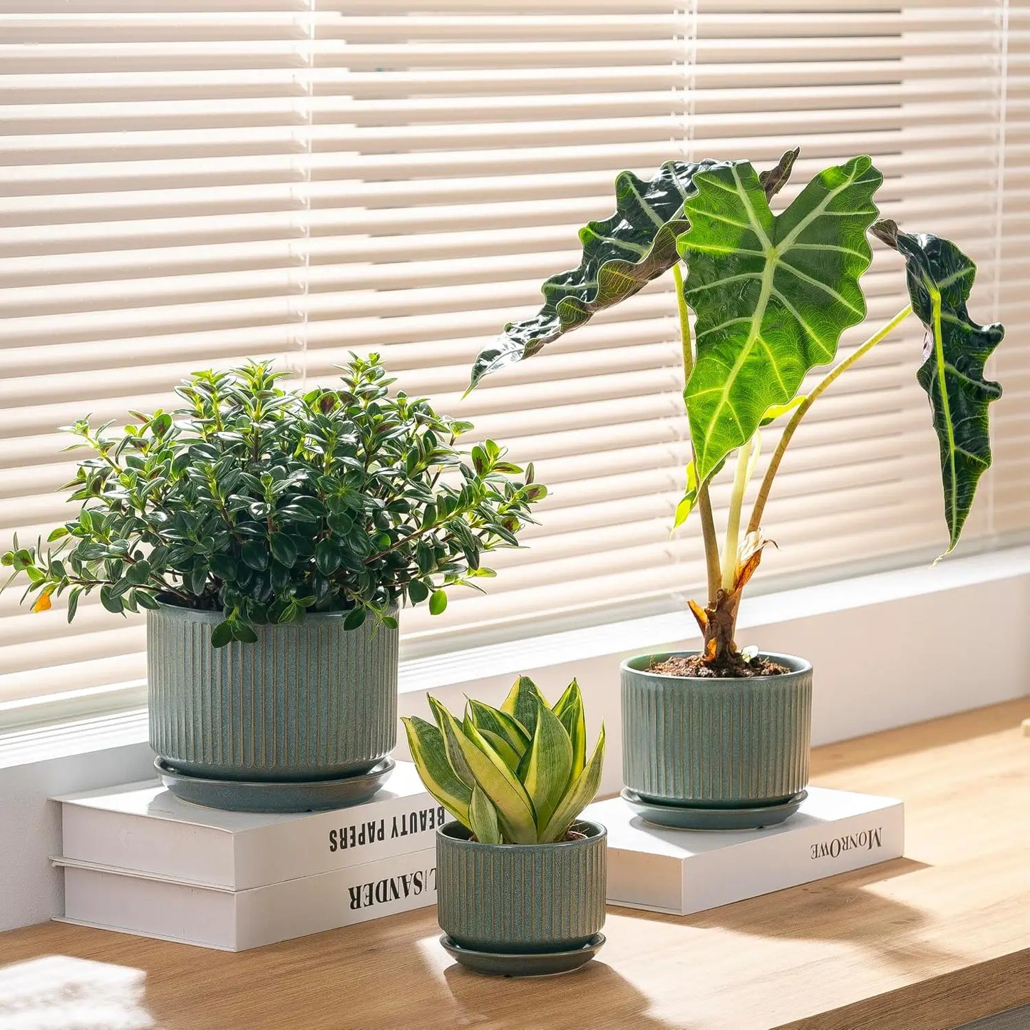 Set Of Three Ceramic Plant Pots With Drainage And Saucer
