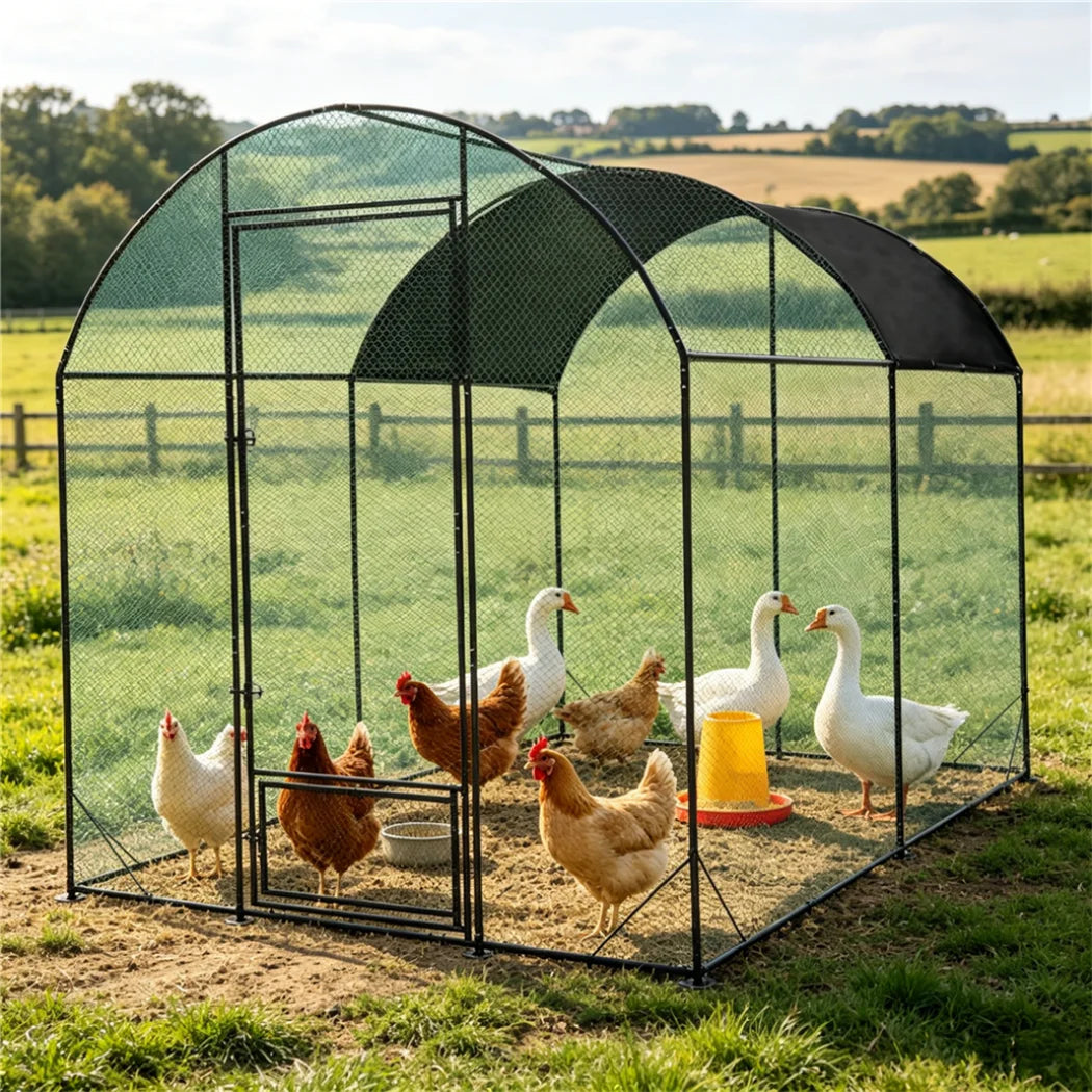 Borwart Outdoor Chicken Coop Cage With Durable Nylon Netting