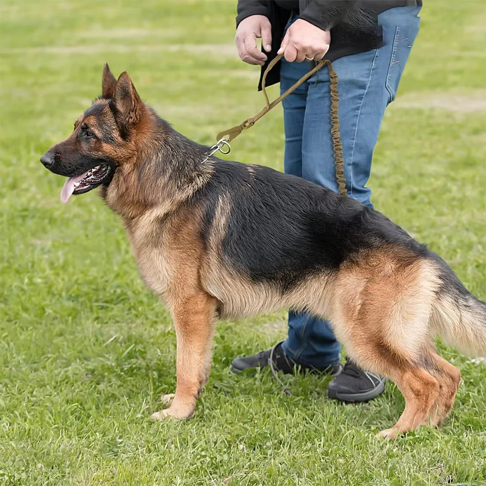 PETRAVEL Adjustable Dog Leash With Quick Release And Dual Handles
