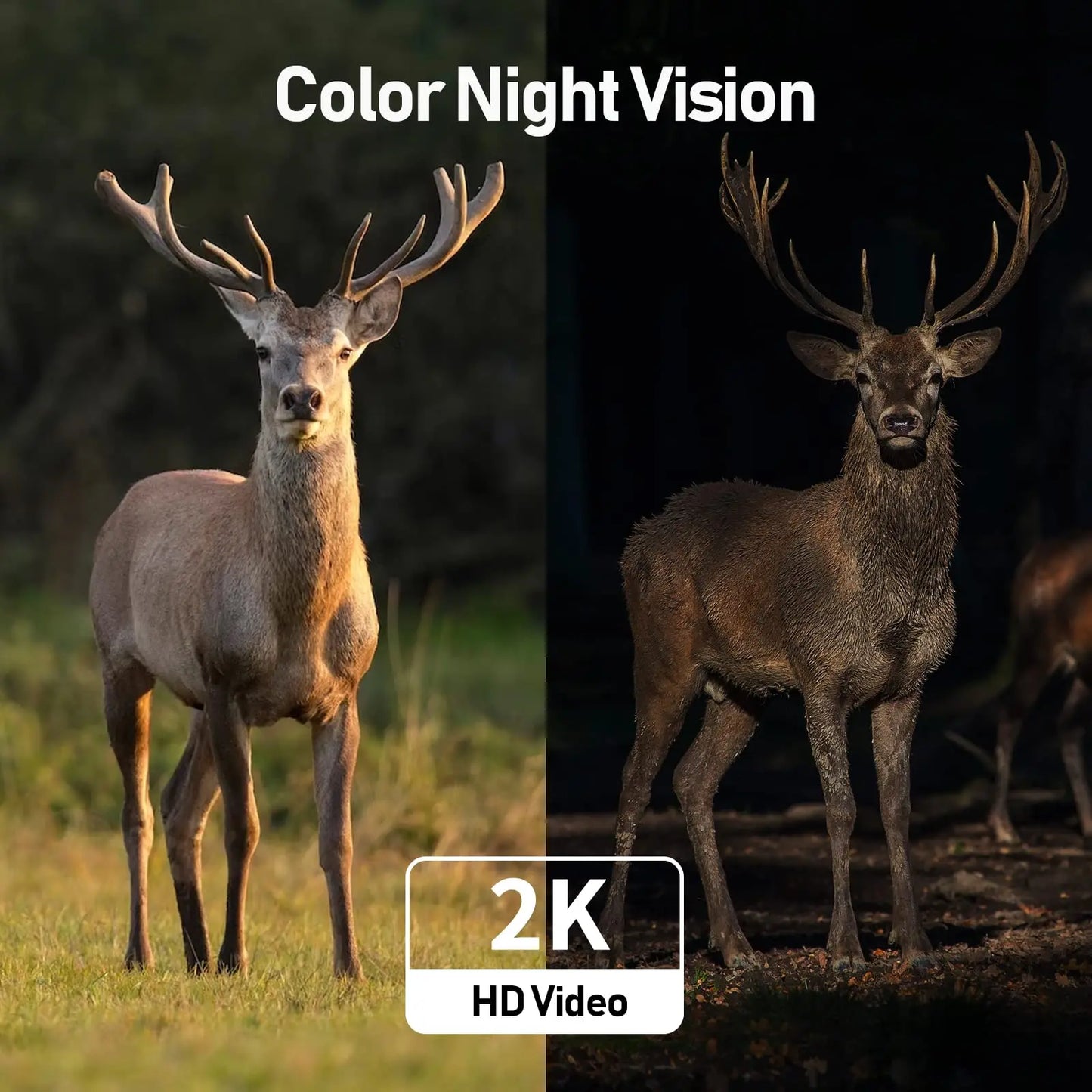 4G LTE Trail Camera AI Activated 2.7K Night Vision Waterproof