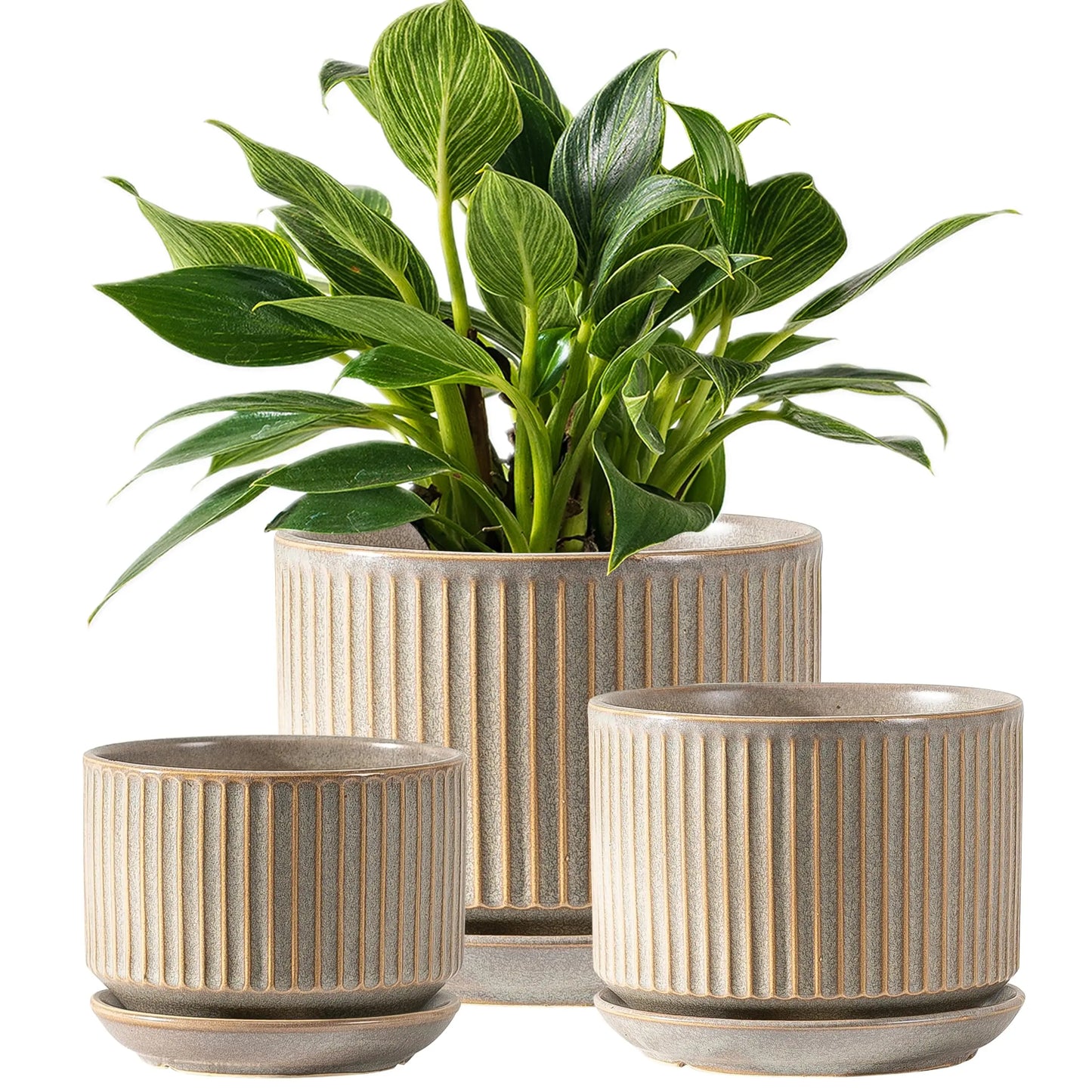 Set Of Three Ceramic Plant Pots With Drainage And Saucer