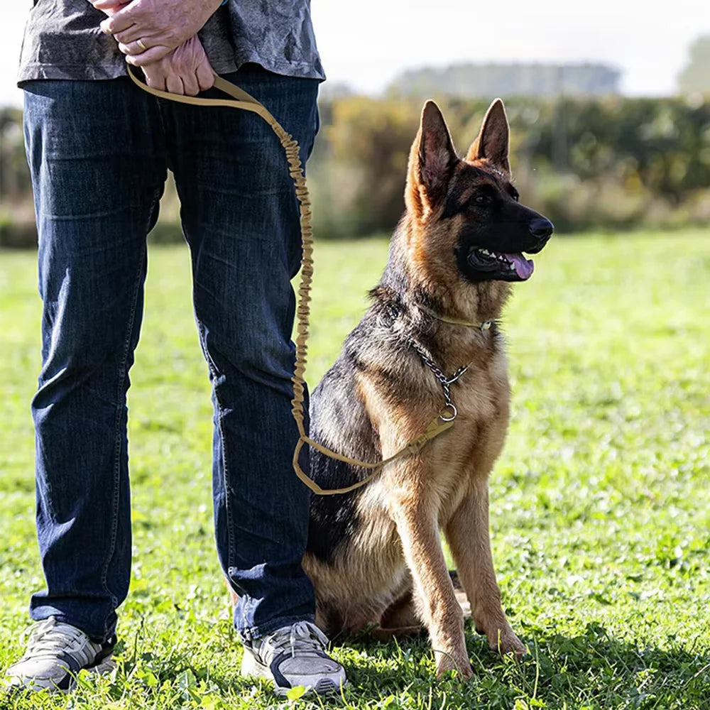 PETRAVEL Adjustable Dog Leash With Quick Release And Dual Handles