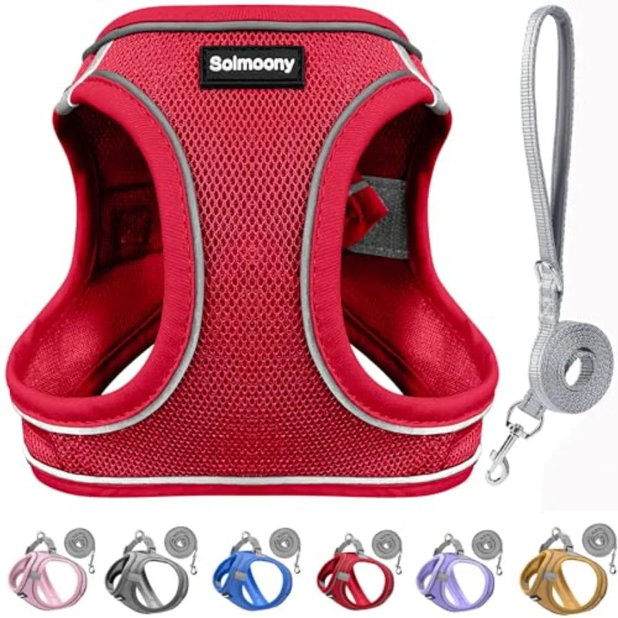 Breathable Reflective Dog Harness And Leash Set For Puppies
