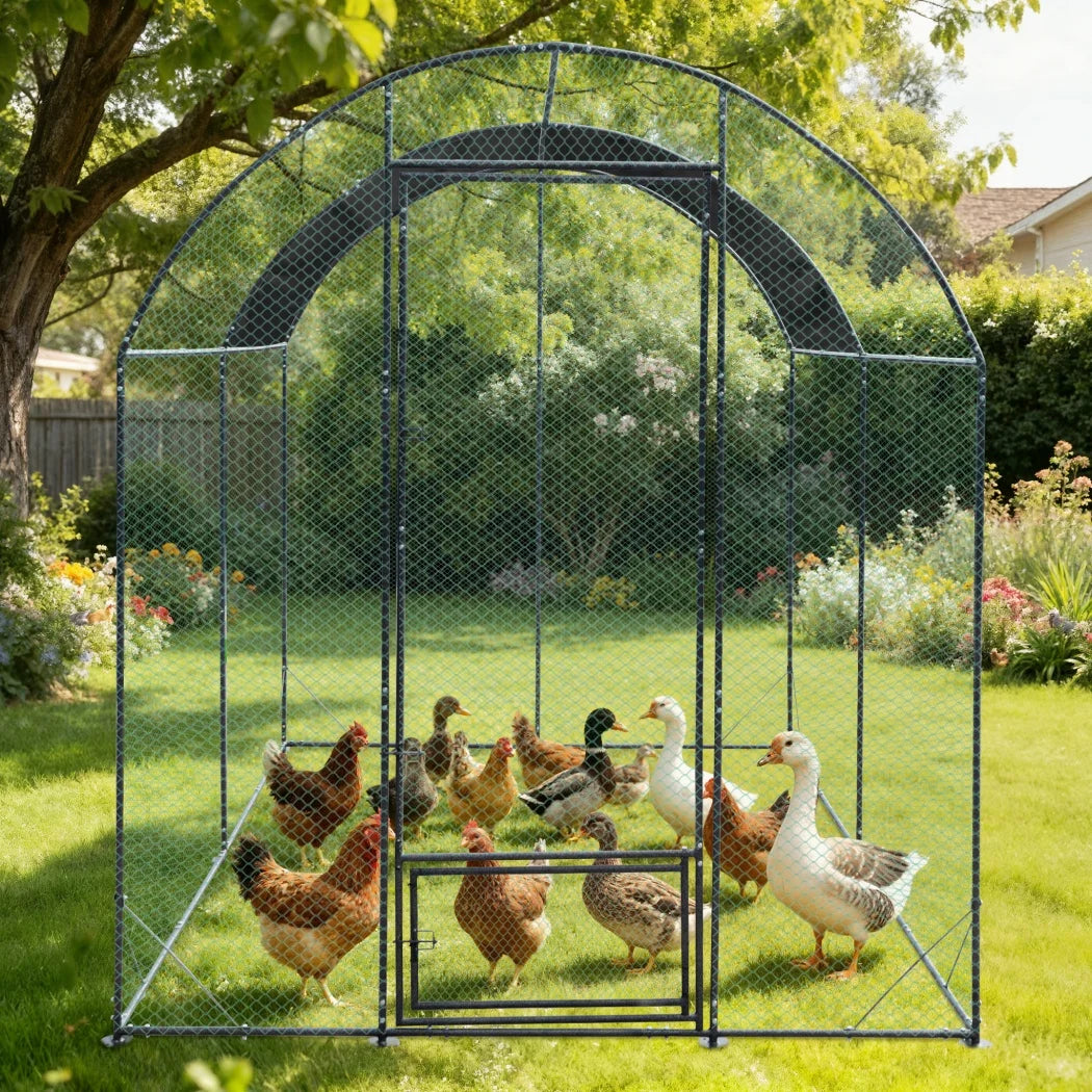Borwart Outdoor Chicken Coop Cage With Durable Nylon Netting